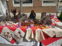 dscn8517-copia